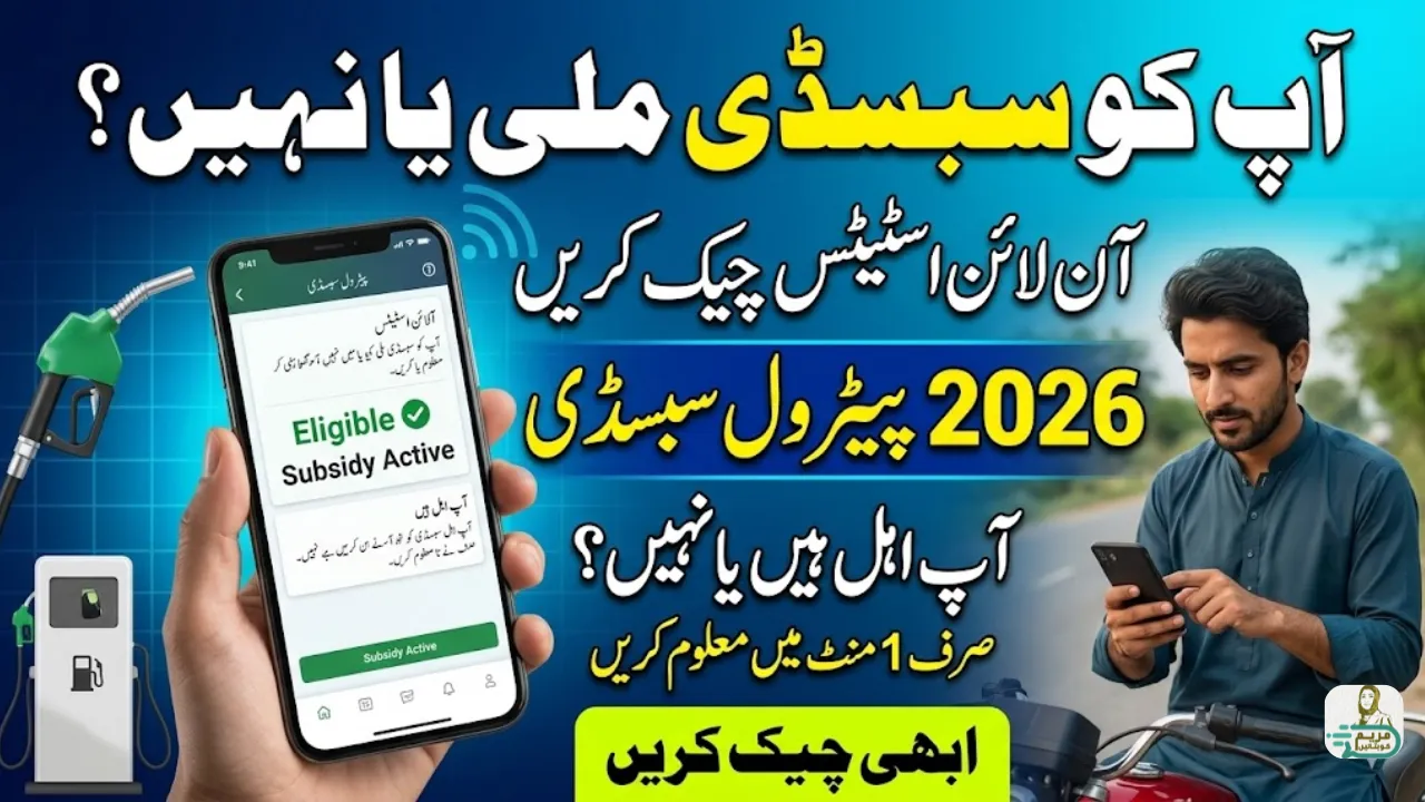 How to Check Petrol Subsidy 2026 Online Status for Eligible Beneficiaries