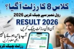 Punjab Board Class 8 Result 2026 Check Result Online by Roll Number